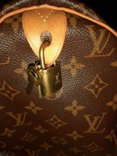 Louis Vuitton Speedy 40 Borsa